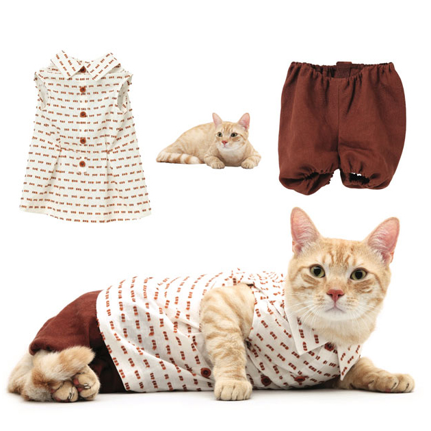 designer cat clothing  Trends \u0026 Tribulations
