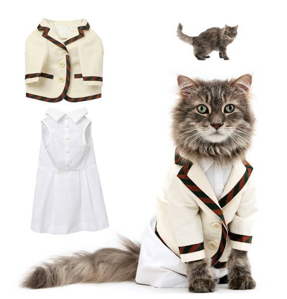 Because Your Cat Needs Designer Clothing, Too (And Maybe A Tipi)
